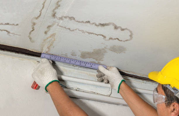 Reliable Water Damage Repair contractor in Oregon, IL by Hirex Water Damage
